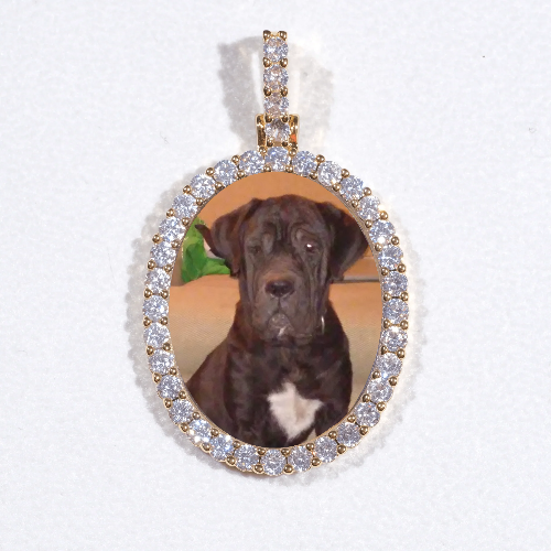 3D Oval Custom Picture Pendant