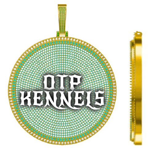 CUSTOM LETTER NECKLACE 3D BIG DISC