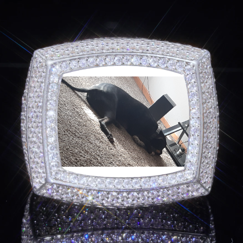 3D CUSTOM PICTURE ICED RING