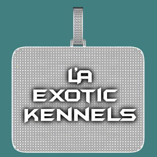 CUSTOM LETTER NECKLACE 3D BIG SQUARE
