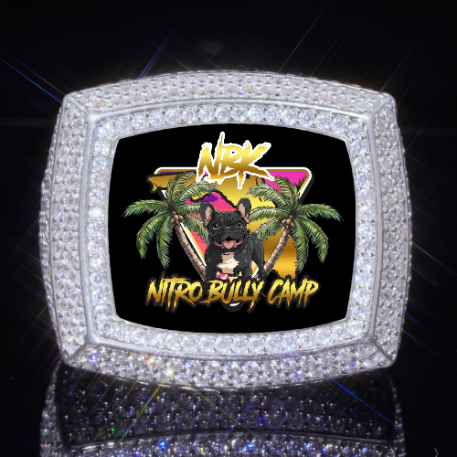 3D CUSTOM PICTURE ICED RING