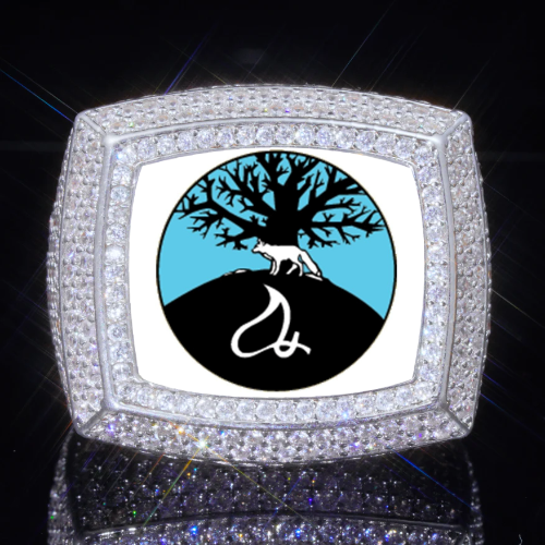 3D CUSTOM PICTURE ICED RING