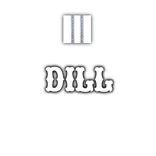 Custom Letters Freibeuter Font Necklace
