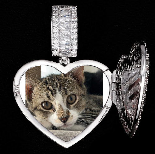 CUSTOM PICTURE PENDANT STYLE-8