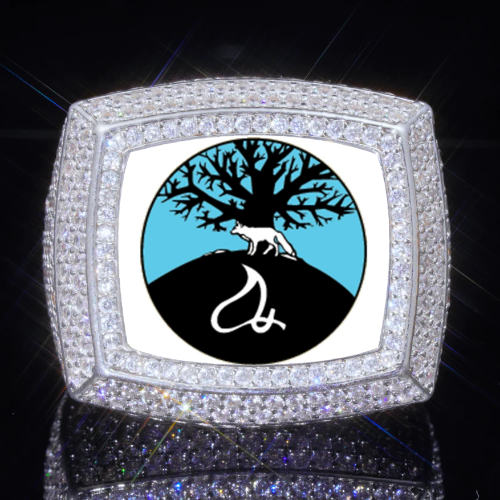 3D CUSTOM PICTURE ICED RING