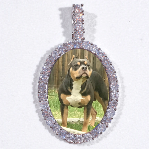 Large 3D Oval Custom Picture Pendant