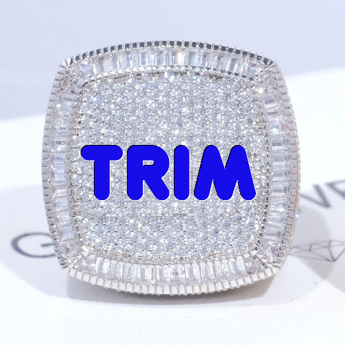 CUSTOM LETTER 3D ICED RING