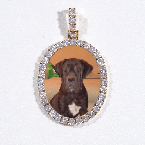 3D Oval Custom Picture Pendant