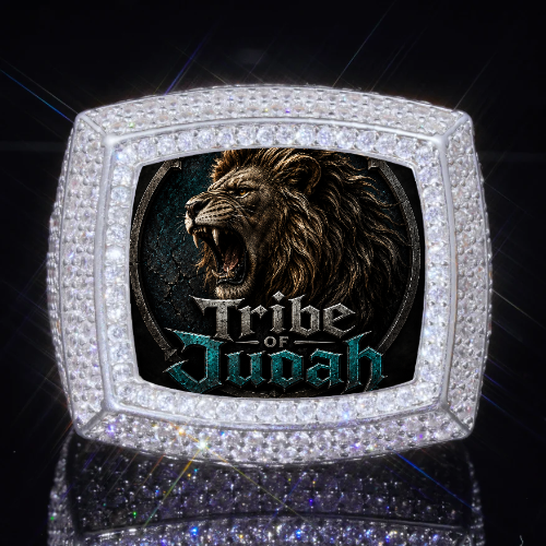 3D CUSTOM PICTURE ICED RING
