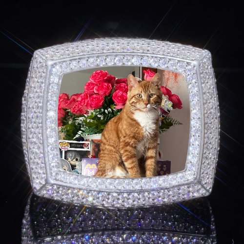 3D CUSTOM PICTURE ICED RING