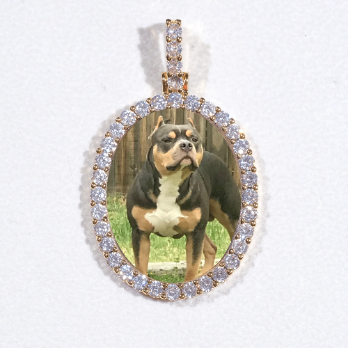 3D Oval Custom Picture Pendant