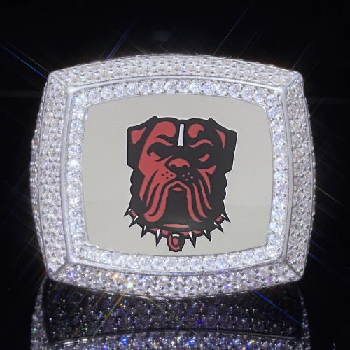 3D CUSTOM PICTURE ICED RING