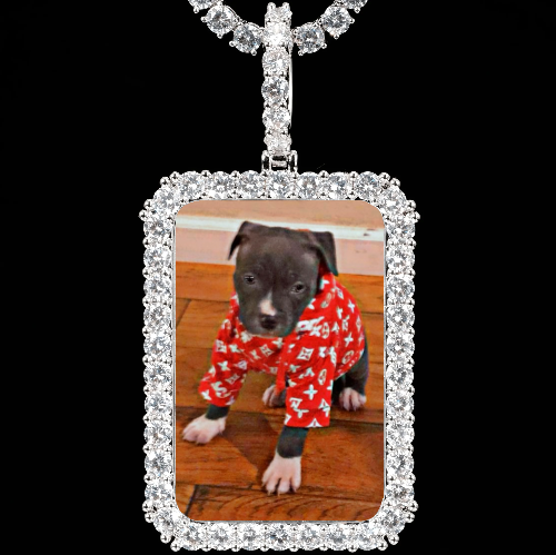 CUSTOM PICTURE PENDANT STYLE-5