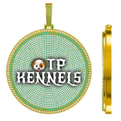 CUSTOM LETTER NECKLACE 3D BIG DISC