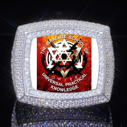 3D CUSTOM PICTURE ICED RING