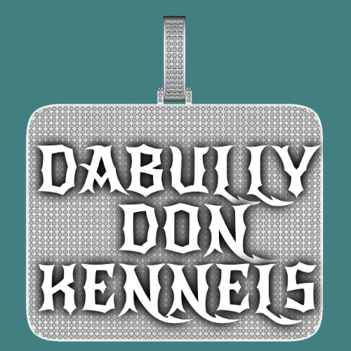 CUSTOM LETTER NECKLACE 3D BIG SQUARE