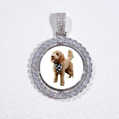 3D Spinning 2-Faced Custom Picture Pendant