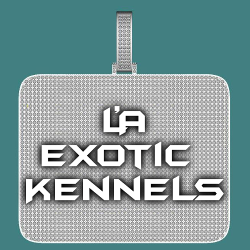 CUSTOM LETTER NECKLACE 3D BIG SQUARE