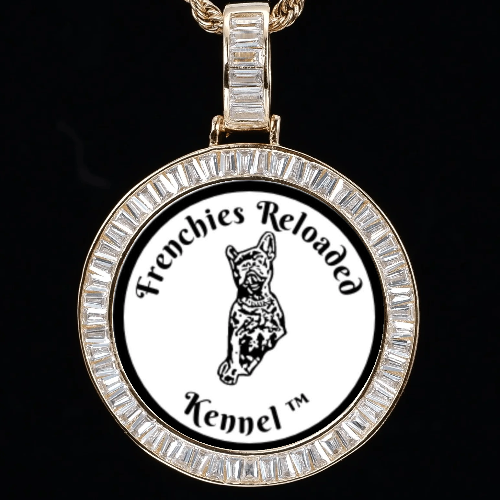 CUSTOM PICTURE PENDANT STYLE-2
