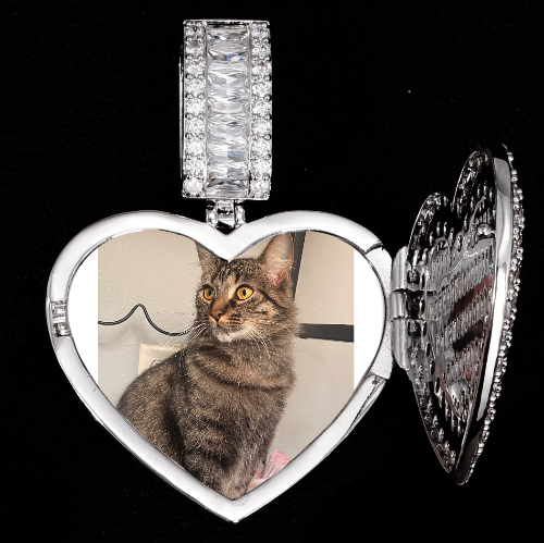 CUSTOM PICTURE PENDANT STYLE-8