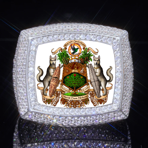 3D CUSTOM PICTURE ICED RING