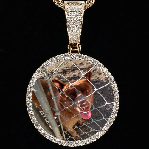 CUSTOM PICTURE PENDANT STYLE-1