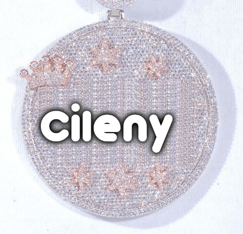CUSTOM LETTER NECKLACE 3D BIG CROWN DISC