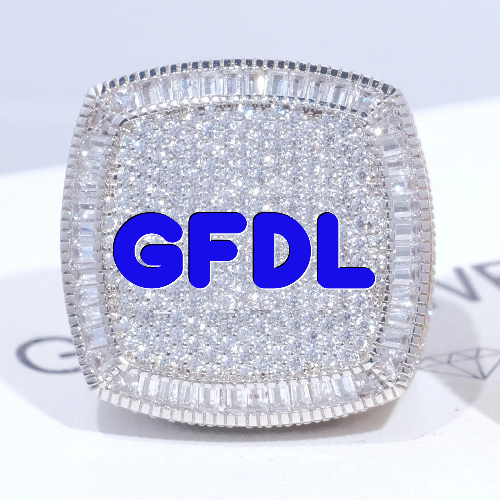 CUSTOM LETTER 3D ICED RING