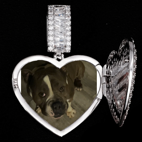 CUSTOM PICTURE PENDANT STYLE-8