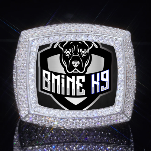 3D CUSTOM PICTURE ICED RING