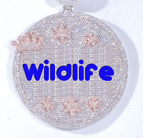 CUSTOM LETTER NECKLACE 3D BIG CROWN DISC
