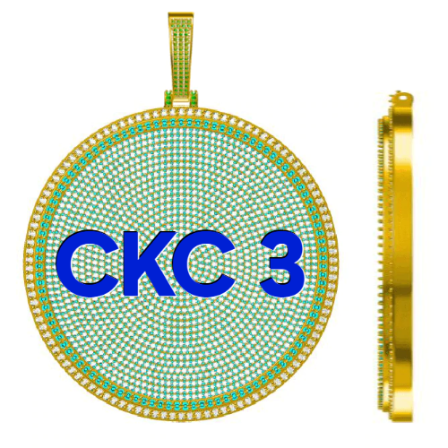 CUSTOM LETTER NECKLACE 3D BIG DISC