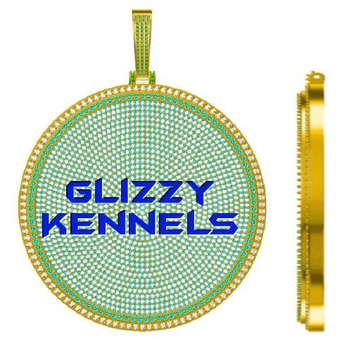 CUSTOM LETTER NECKLACE 3D BIG DISC