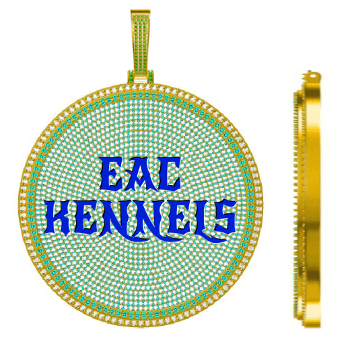 CUSTOM LETTER NECKLACE 3D BIG DISC