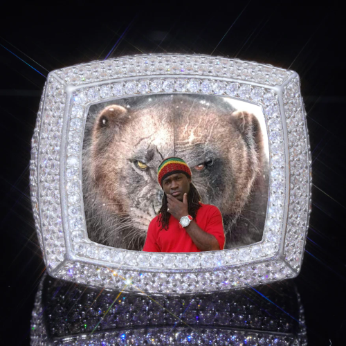 3D CUSTOM PICTURE ICED RING