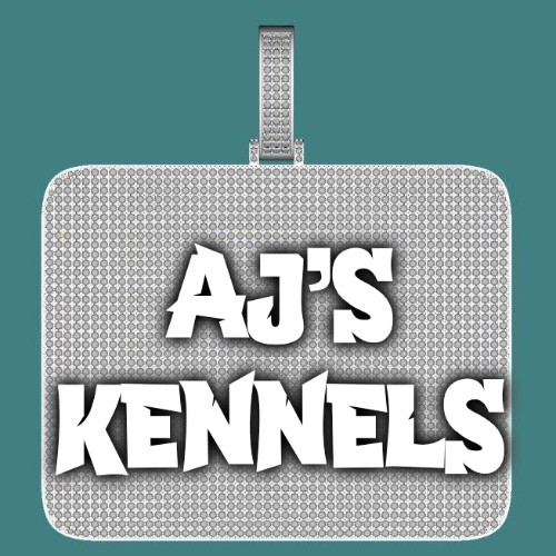 CUSTOM LETTER NECKLACE 3D BIG SQUARE