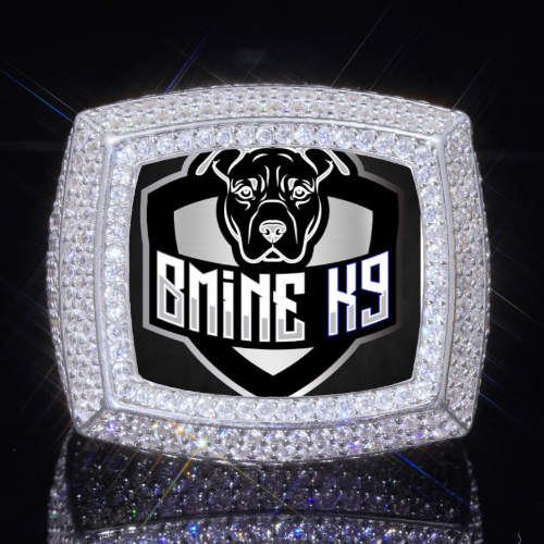 3D CUSTOM PICTURE ICED RING