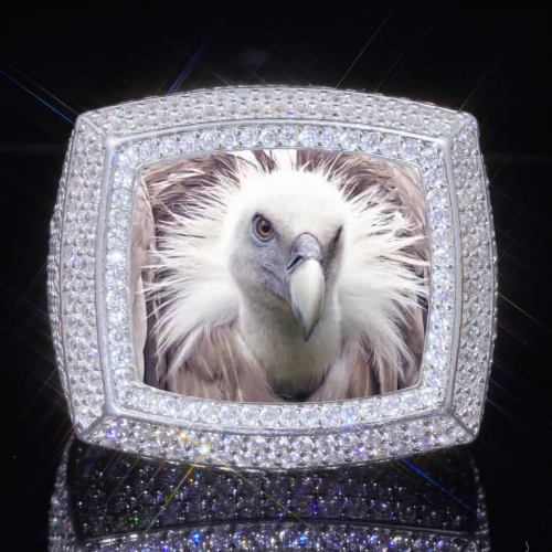3D CUSTOM PICTURE ICED RING