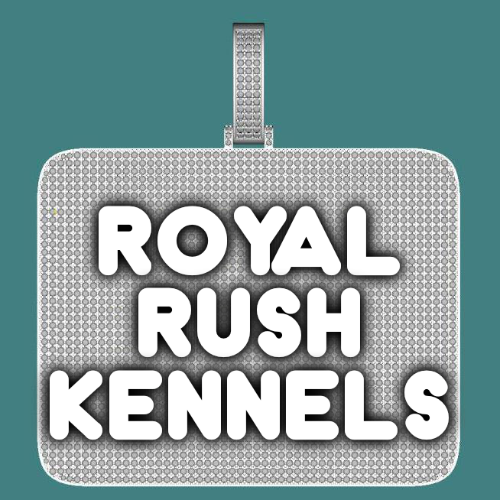 CUSTOM LETTER NECKLACE 3D BIG SQUARE