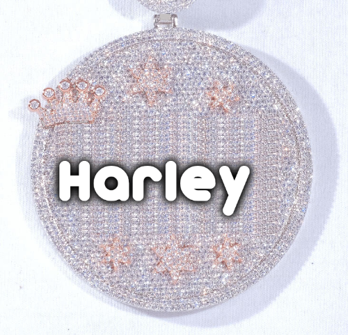 CUSTOM LETTER NECKLACE 3D BIG CROWN DISC