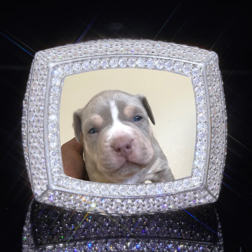 3D CUSTOM PICTURE ICED RING