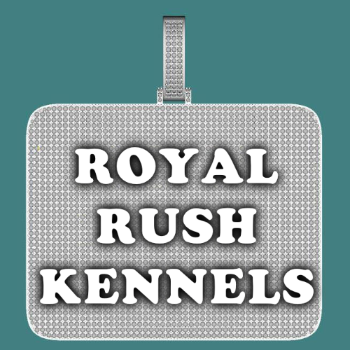 CUSTOM LETTER NECKLACE 3D BIG SQUARE