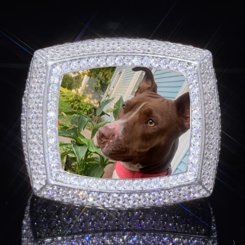 3D CUSTOM PICTURE ICED RING