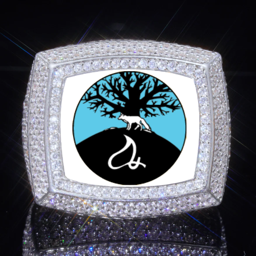3D CUSTOM PICTURE ICED RING