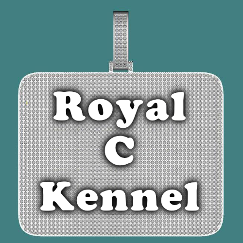 CUSTOM LETTER NECKLACE 3D BIG SQUARE