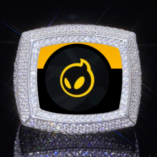 3D CUSTOM PICTURE ICED RING