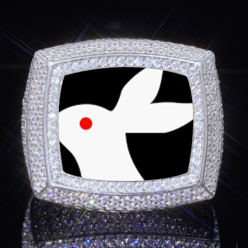3D CUSTOM PICTURE ICED RING