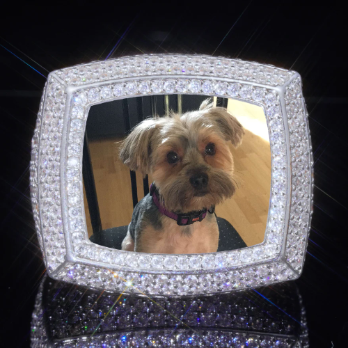 3D CUSTOM PICTURE ICED RING