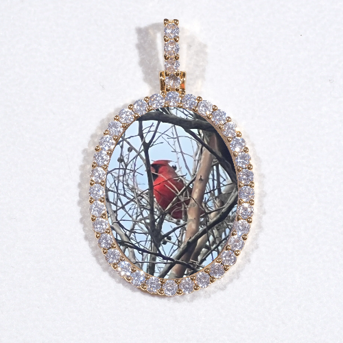 3D Oval Custom Picture Pendant