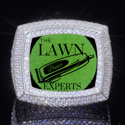 3D CUSTOM PICTURE ICED RING